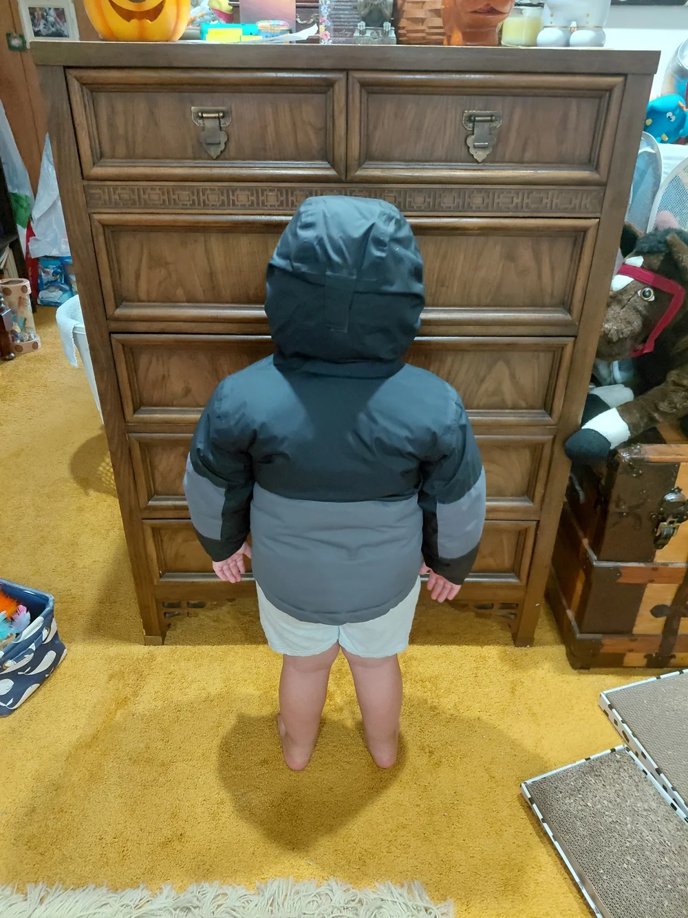 Columbia Kids' Gray & Black Hooded Winter Jacket With Neon Hood Size XXS